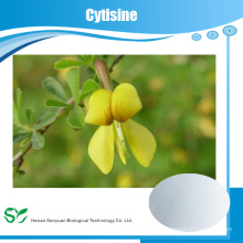 Caliente Venta GMP Certificado 100% Pure Natural Cytisine en Extracto de Hierbas